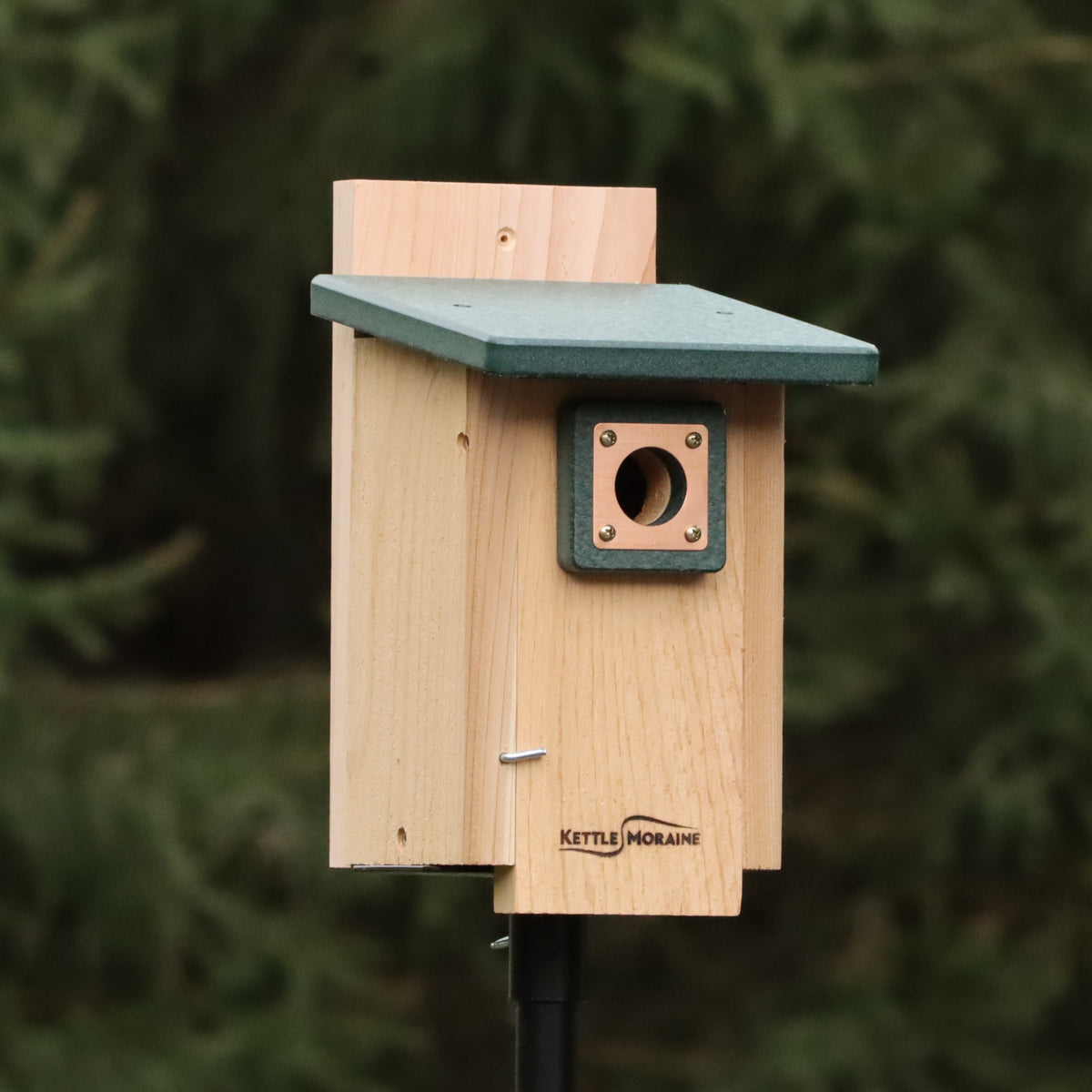 Nuthatch & Titmouse Nest Box with Recycled Roof – Kettle Moraine