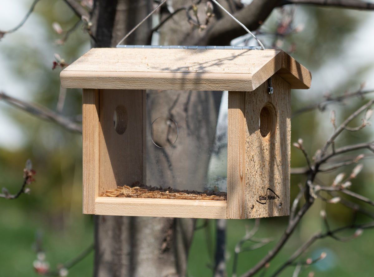 Mealworm Feeder / Water Dish (Small)