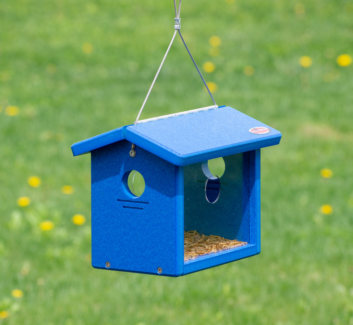 bluebird hanging planter pot Recycled Hanging Bluebird Feeder – Kettle Moraine Woodworking Inc