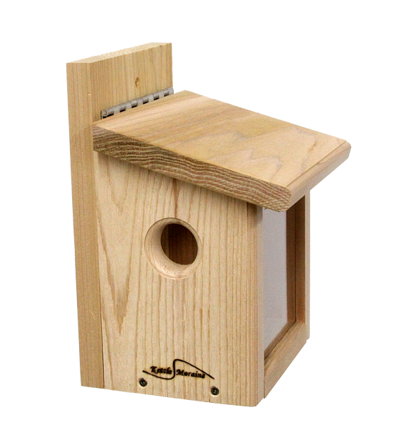 cedar bluebird feeder with viewing window