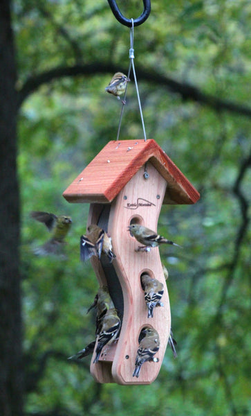 young goldfinches on cedar kettle moraine wave feeder