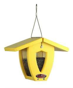 kettle moraine yellow screen feeder