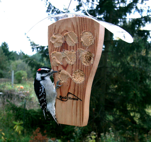 woodpecker eating peanut butter on hanging feeder