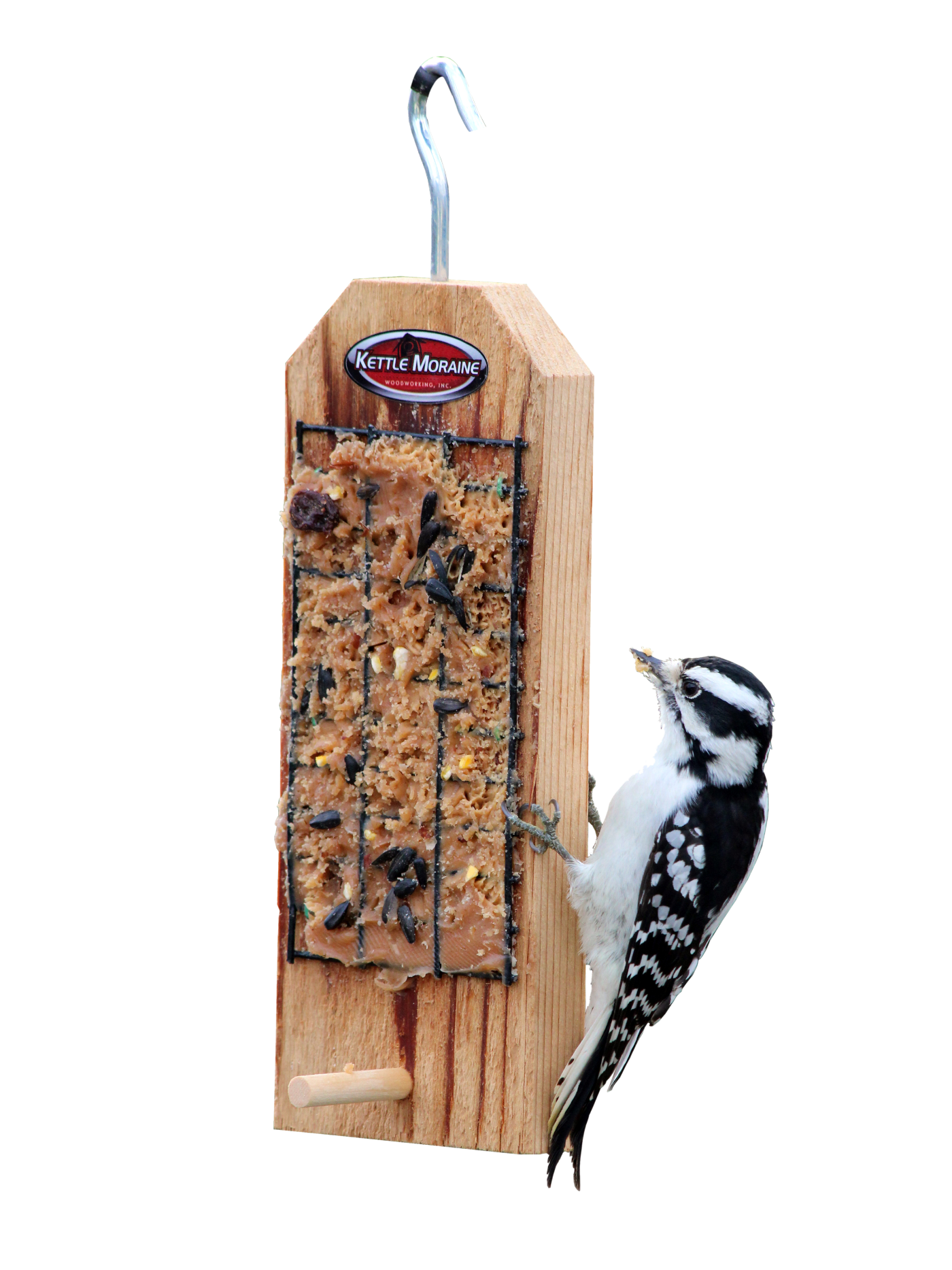 woodpecker eating spreadable suet on feeder