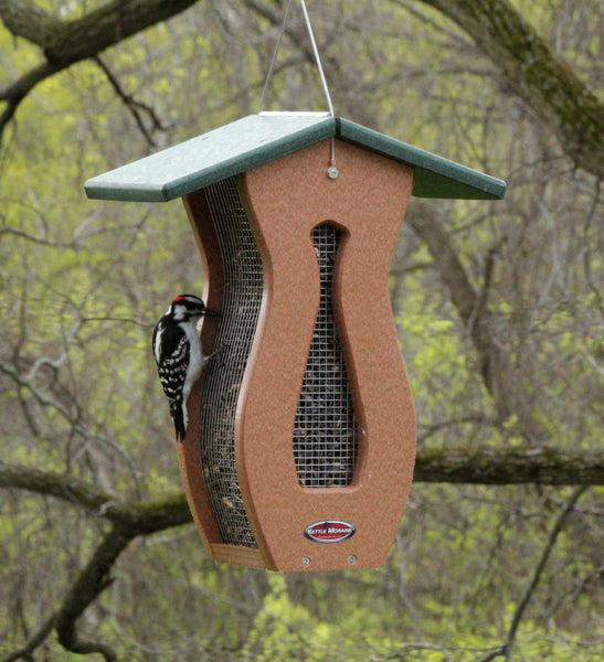 woodpecker on kettle moraine curved screen feeder