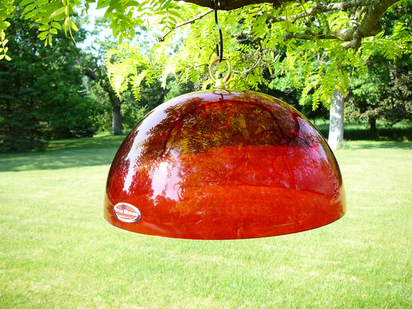 clear red dome to protect bird feeders