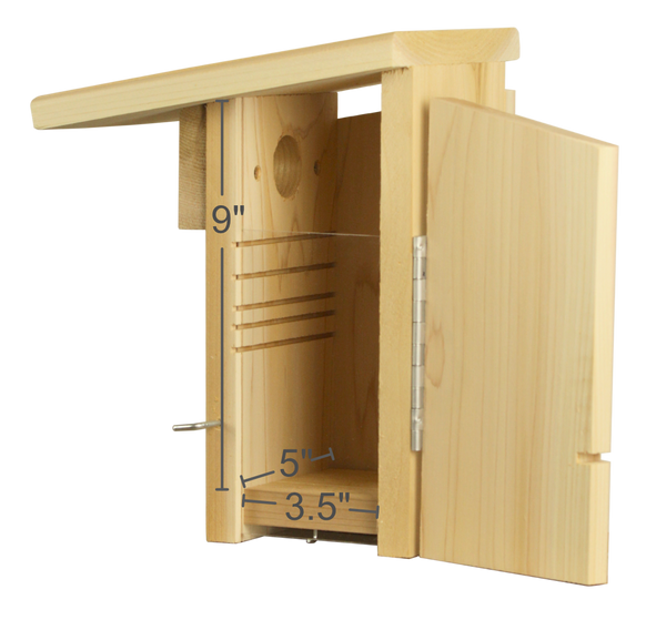 interior dimensions of cedar bluebird bird house with fledgling ladder and viewing window