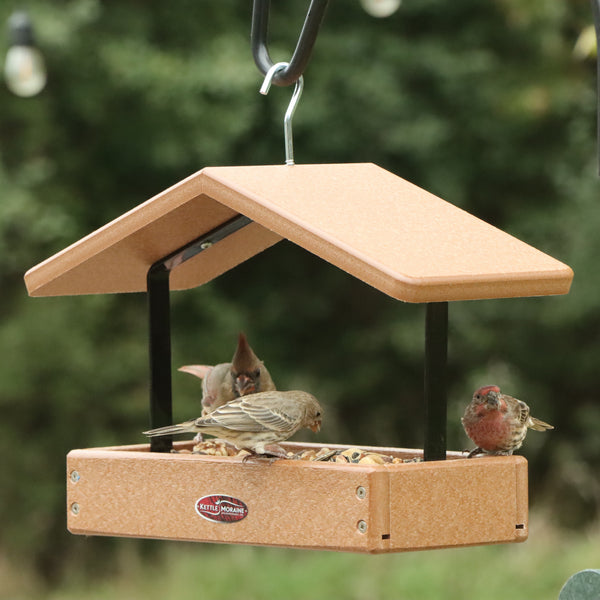 Recycled Small Covered Tray Feeder