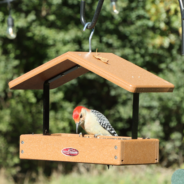 Recycled Small Covered Tray Feeder