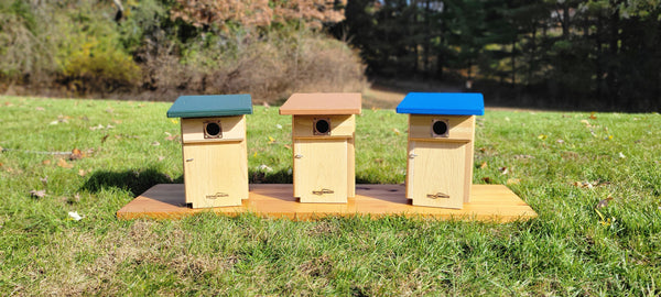 *NEW* Western and Mountain Bluebird Nest Box with Recycled Roof