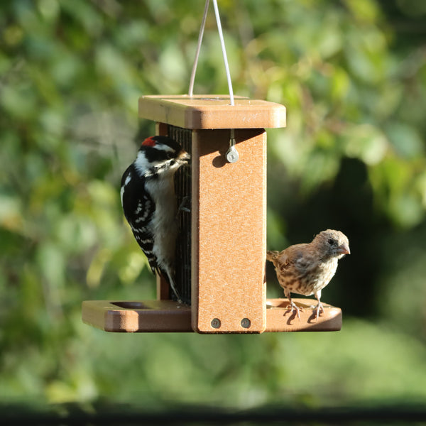 Recycled Suet Feeder with a Perch