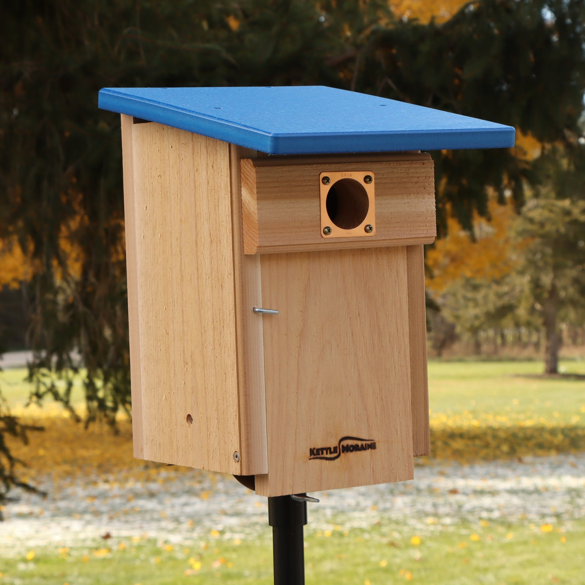 *NEW* Western and Mountain Bluebird Nest Box with Recycled Roof