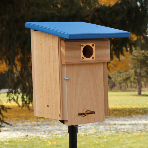 *NEW* Western and Mountain Bluebird Nest Box with Recycled Roof