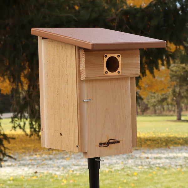 *NEW* Western and Mountain Bluebird Nest Box with Recycled Roof