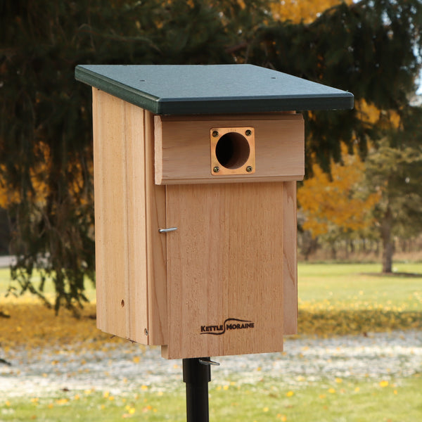 *NEW* Western and Mountain Bluebird Nest Box with Recycled Roof