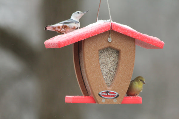 A Kettle Moraine bird feeder with a red roof and seed tray and a brown center. Shown with two birds perched on it against a blurred gray-brown background.