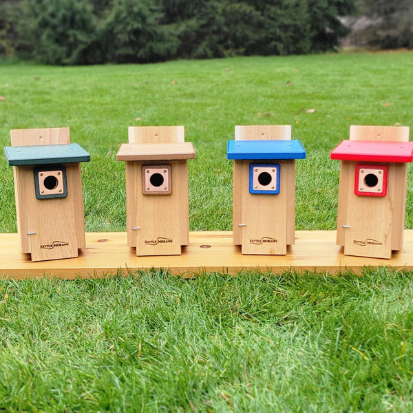 *NEW* Nuthatch & Titmouse Nest Box with Recycled Roof