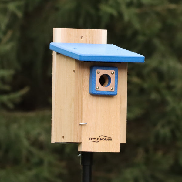 *NEW* Nuthatch & Titmouse Nest Box with Recycled Roof