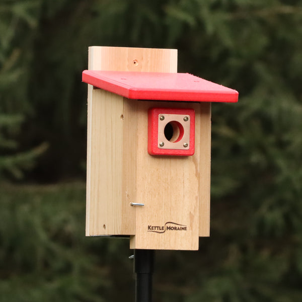 *NEW* Nuthatch & Titmouse Nest Box with Recycled Roof