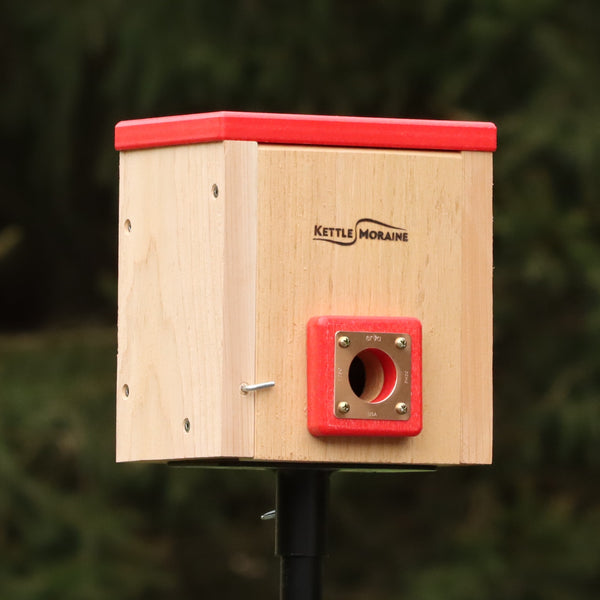 *NEW* Cedar Roosting Boxes with Recycled Roof