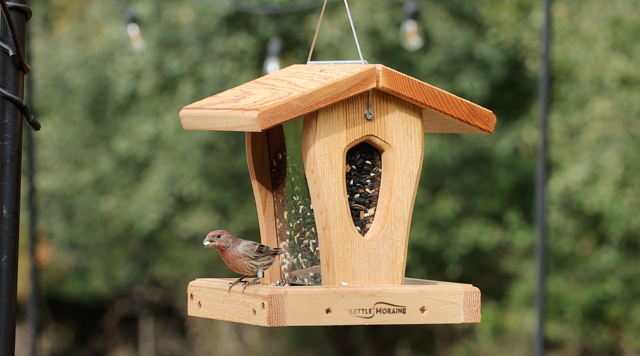 The Moraine Hopper JR