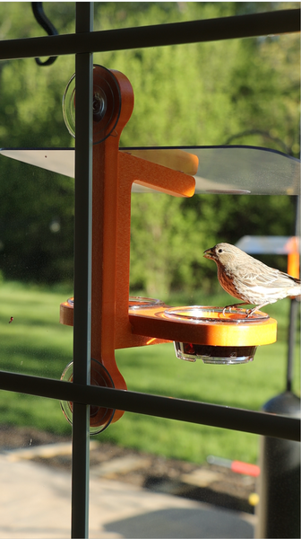 An orange bird feeder with a clear roof and a small bird perched on it, set against a blurred green outdoor background.