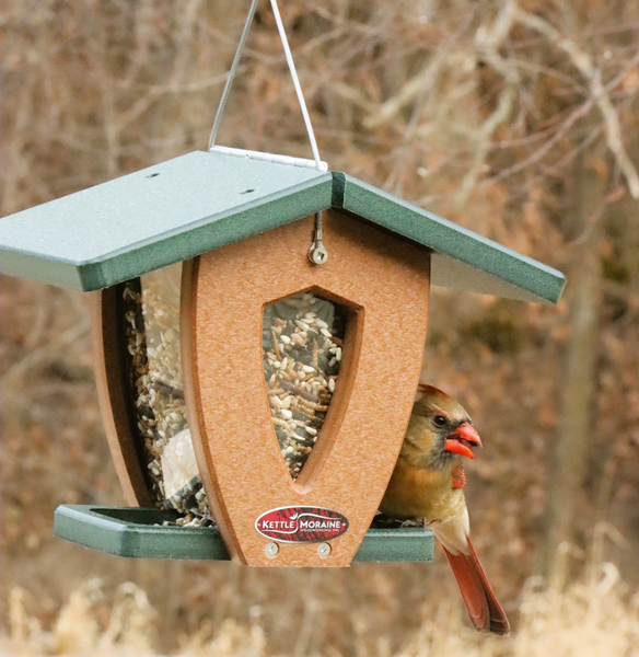 A Kettle Moraine bird feeder with a green roof and seed tray, a brown center panel, and seed visible through clear side panels, shown with a female cardinal perched on the feeder against a blurred outdoor background.