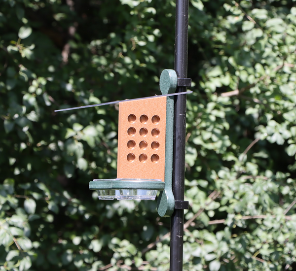 A bird feeder clipped to a black pole, featuring a brown center with circular holes, a green mounting bracket and base, black plastic clips, a clear roof and two small clear bowls, set against a background of green foliage.