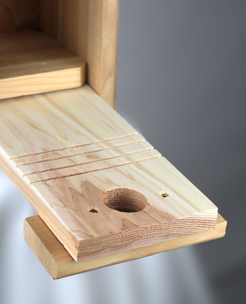 *NEW* Western and Mountain Bluebird Nest Box with Recycled Roof