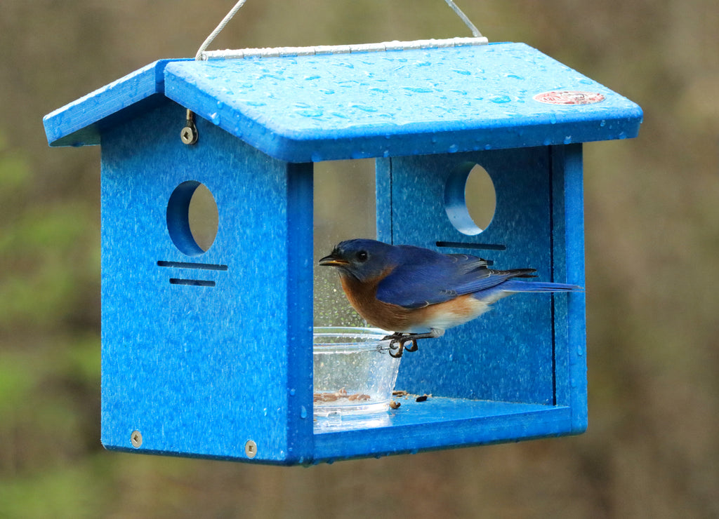 bluebird hanging planter pot Recycled Hanging Bluebird Feeder – Kettle Moraine Woodworking Inc