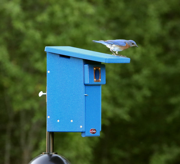 Recycled Bluebird Nest Box with Pole Package
