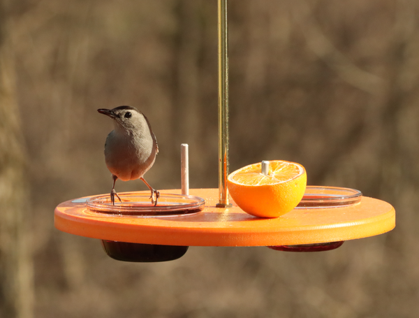 Super Oriole Feeder