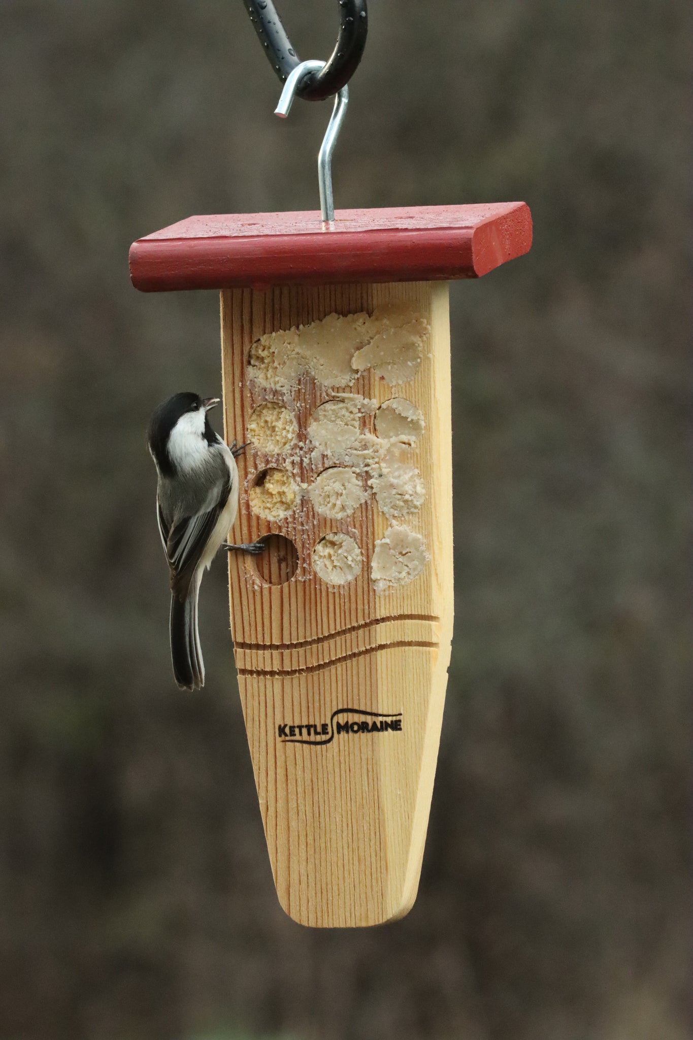 Cedar Peanut Butter Feeder with Roof