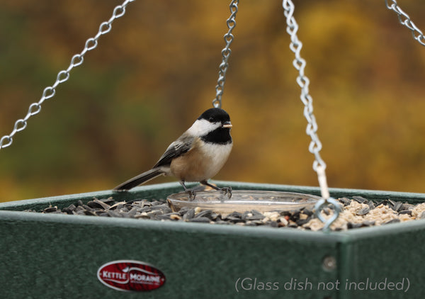 *NEW* Recycled Tray Feeder