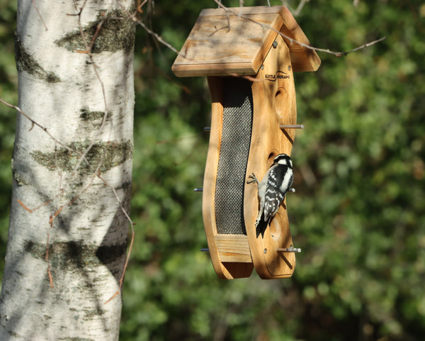 The Original Wave Feeder (Small)