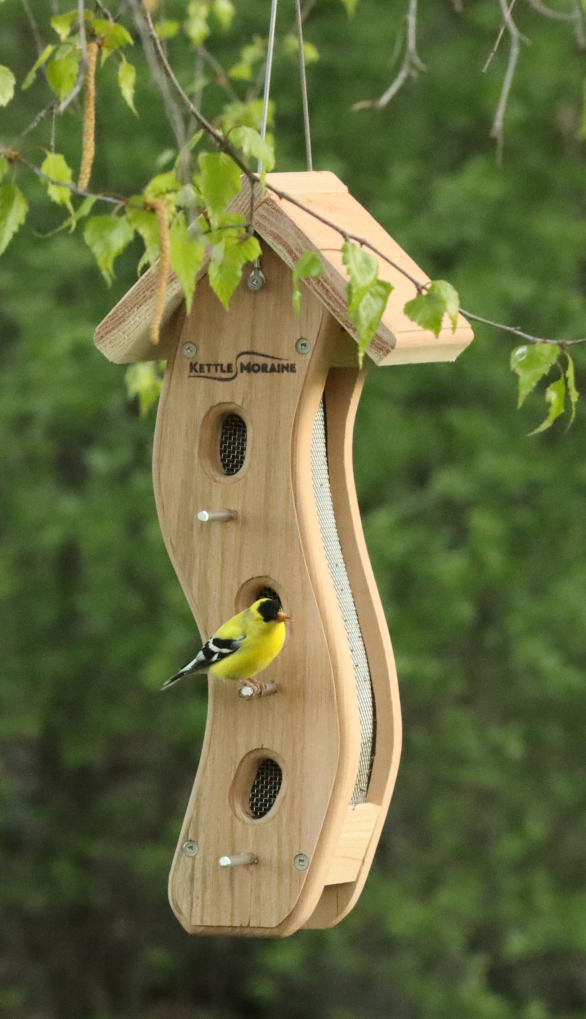 Gold Finch outlets Wooden Bird Feeder