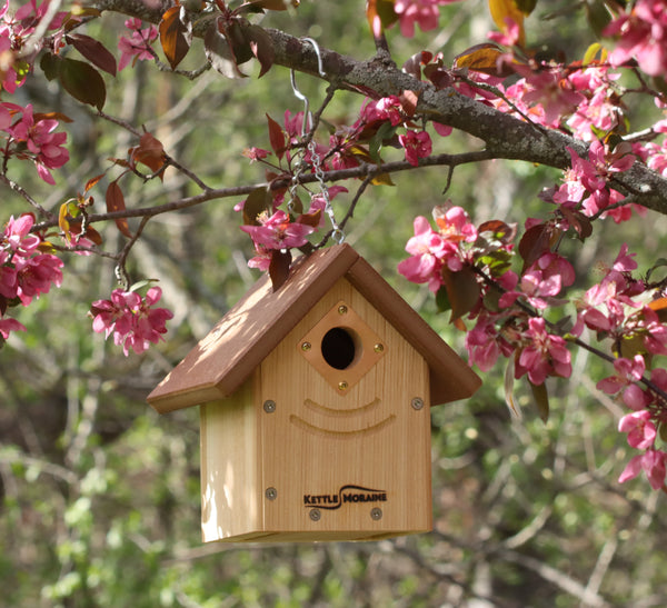 Traditional Nest Box