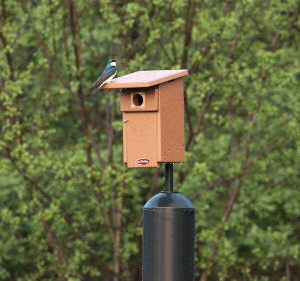Recycled Bluebird Nest Box