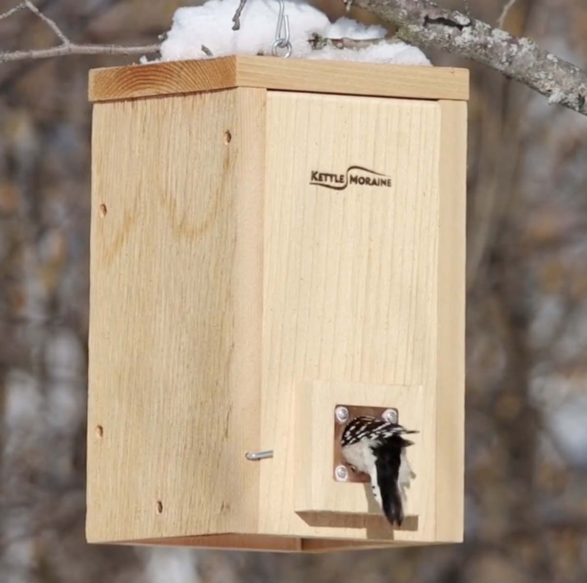 Cedar Roosting Boxes – Kettle Moraine Woodworking Inc