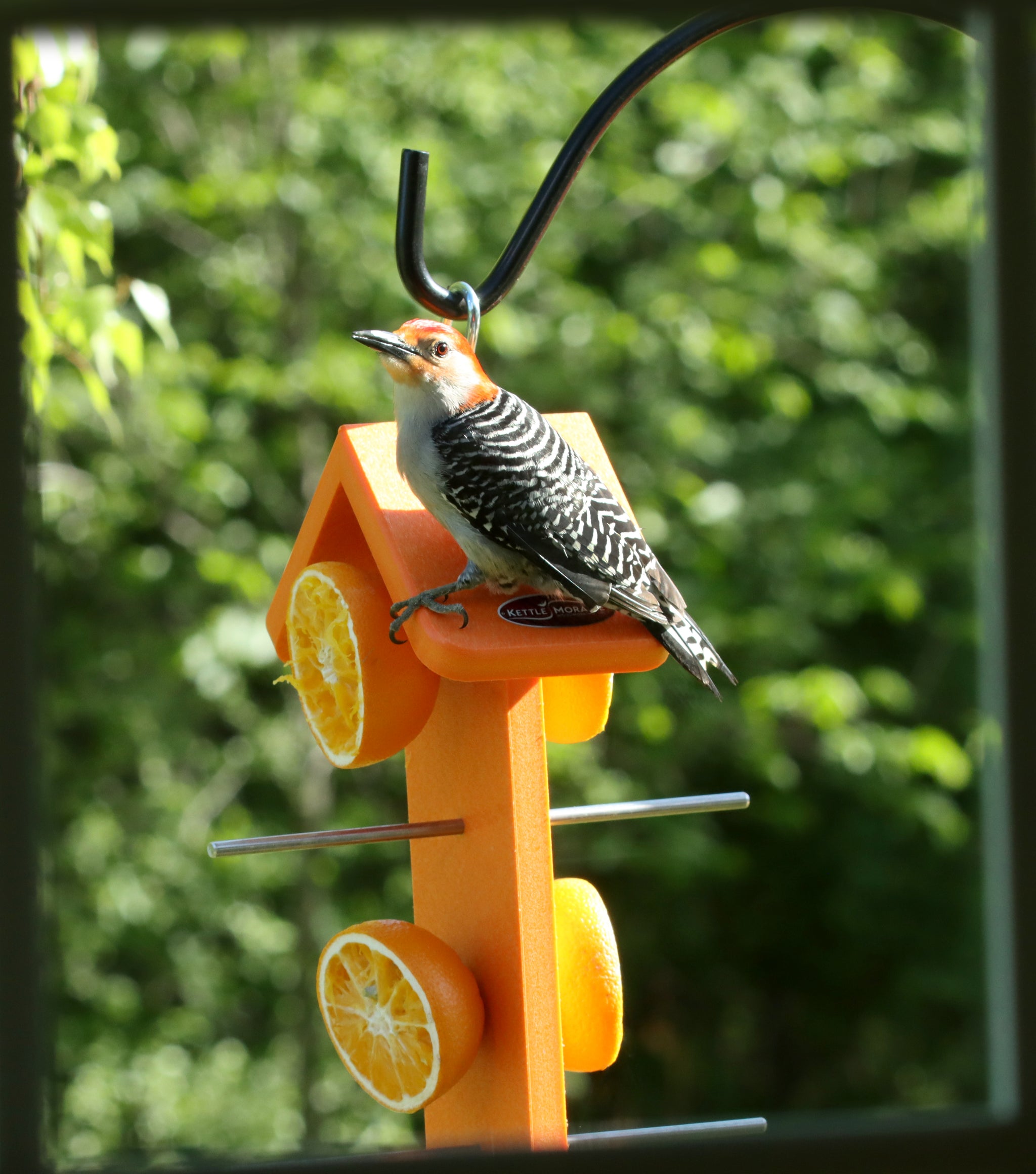 Recycled Orange Oriole Fruit Feeder (Double) – Kettle Moraine