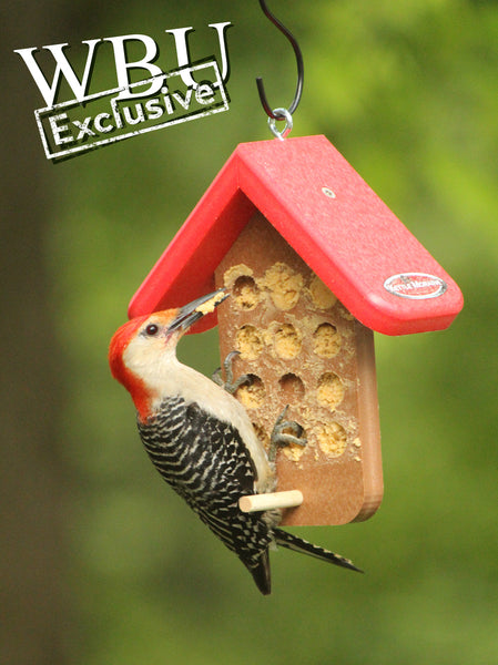 Recycled Bark Butter/PB Feeder (WBU Exclusive)