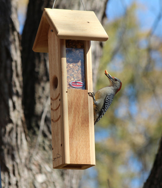 woodpecker eating from kettle moraine cedar feeder
