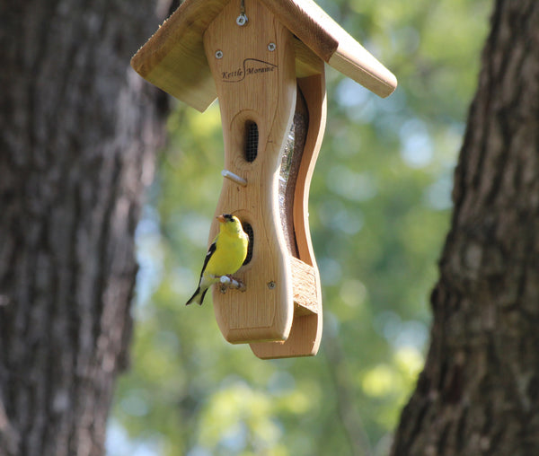 goldfinch on mini wave feeder in cedar