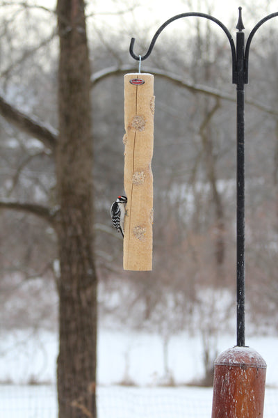 two arm bird feeder pole package with large cedar suet log and downy woodpecker