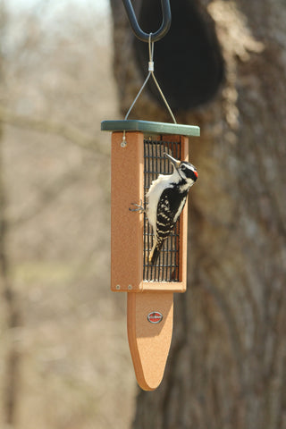 woodpecker on recycled plastic suet feeder