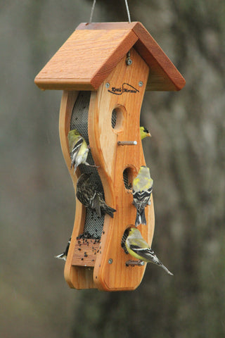 lots of goldfinches on cedar nyjer seed feeder