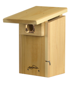 cedar bluebird nest box with viewing window