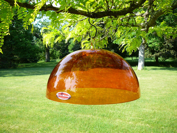 clear orange protective dome for bird feeders