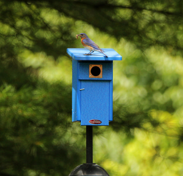 Recycled Bluebird Nest Box