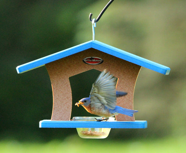 Recycled Cup Feeder (Single)